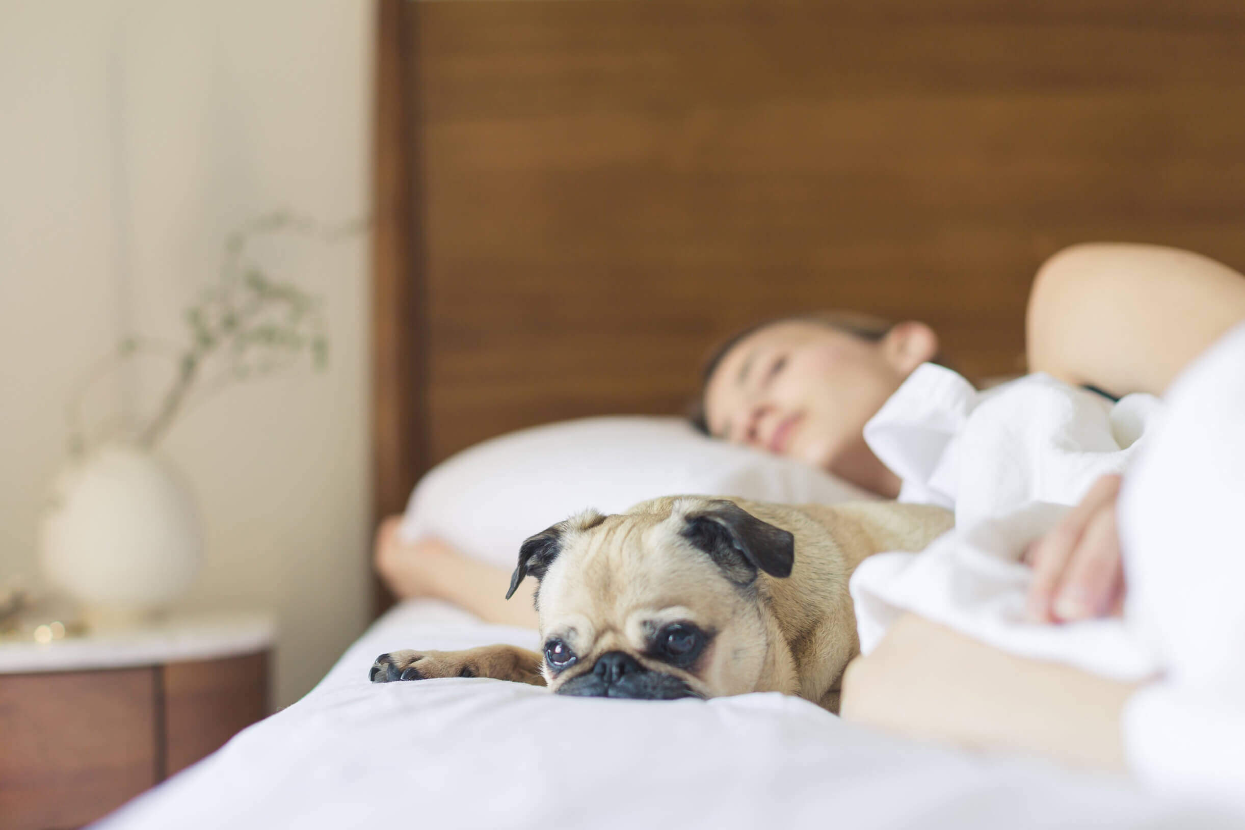 How Many Hours of Sleep Do We Need?
