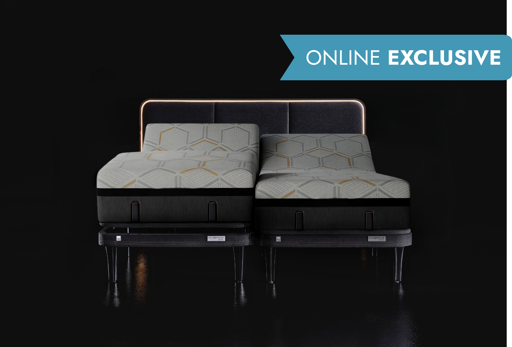 ErgoSportive Wellness Bundle